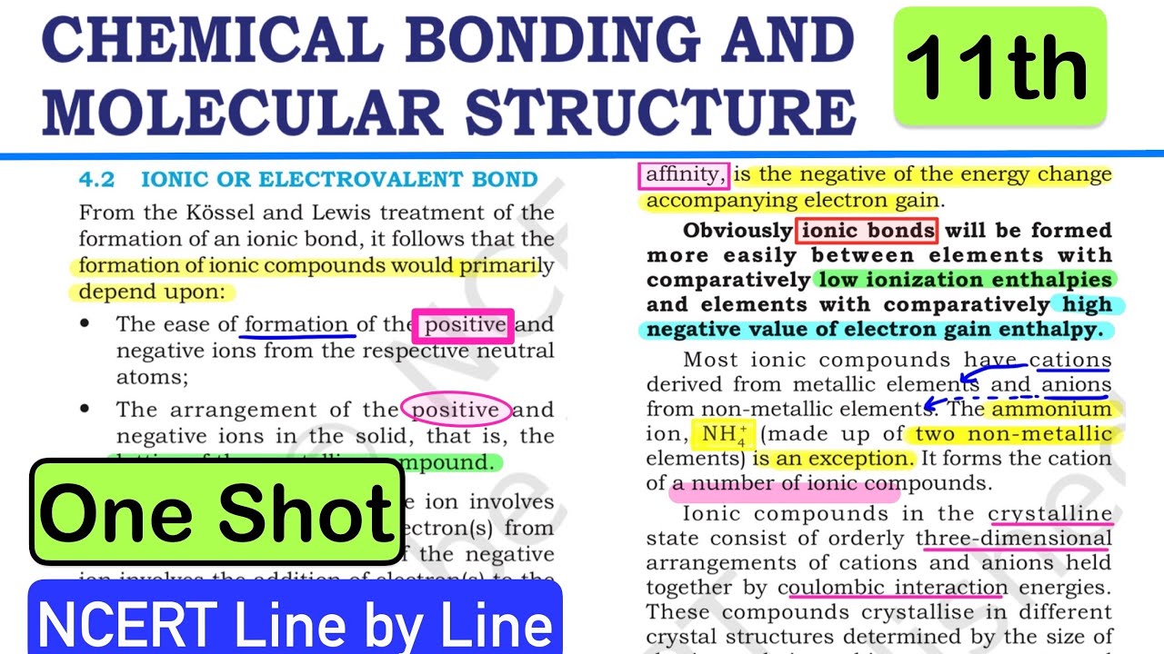 Chemical Bonding NCERT Line by Line in One Shot || NCERT HIGHLIGHTS #neet2025 #class11 #inorganic