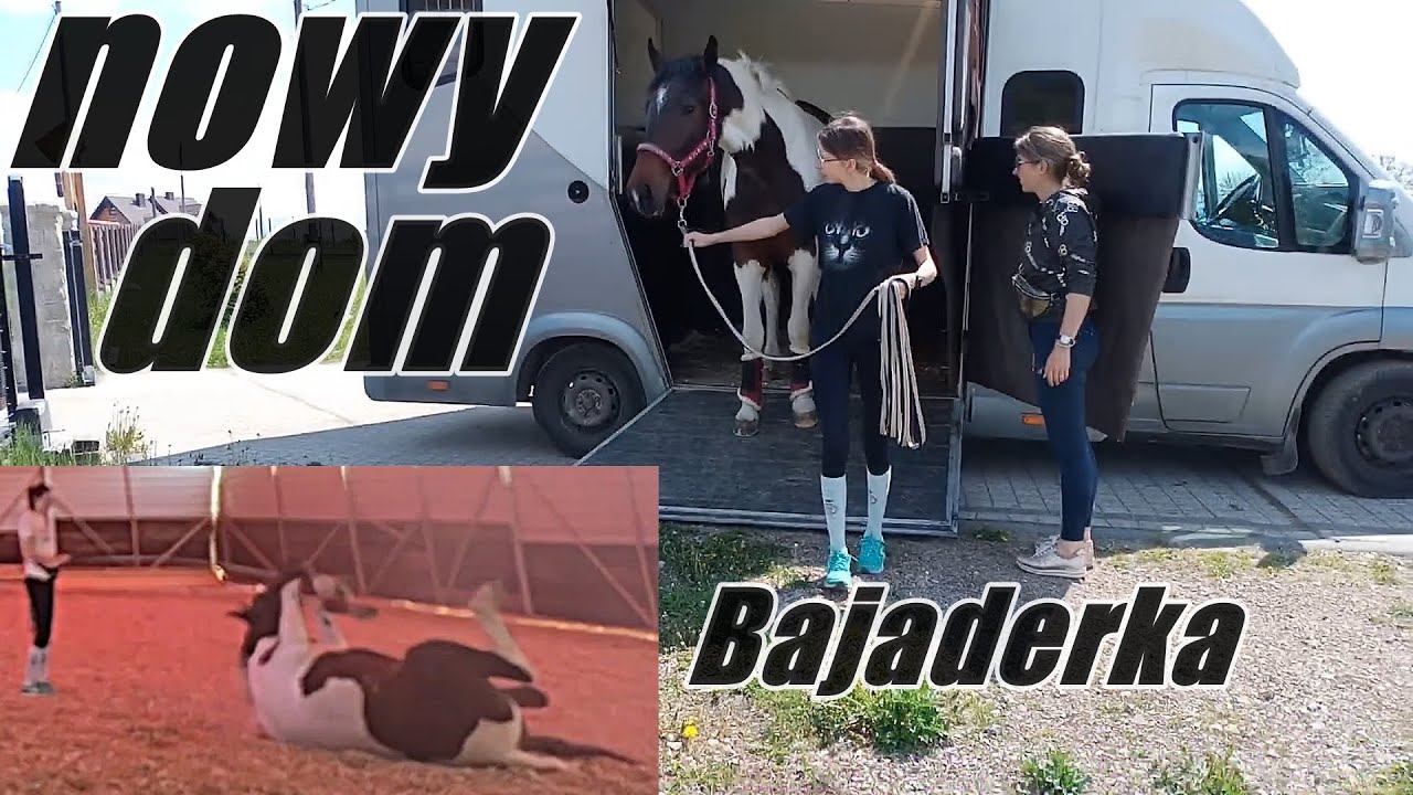 Zmieniamy stajnie - Co się stało?!