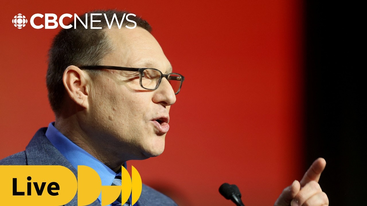 Lewis holds first news conference as NDP leader