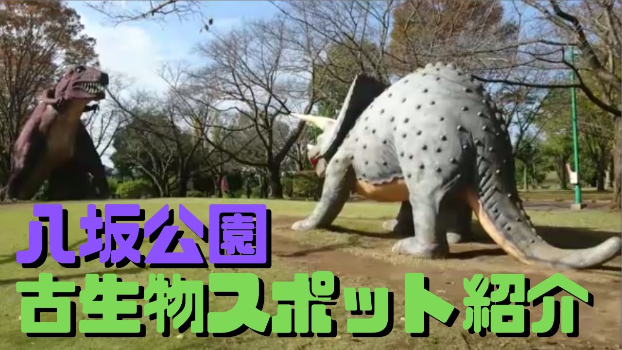 【古生物スポット】八坂公園
