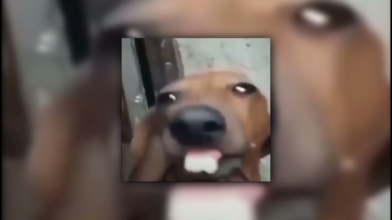 City is Ours - Big time rush [sped up]