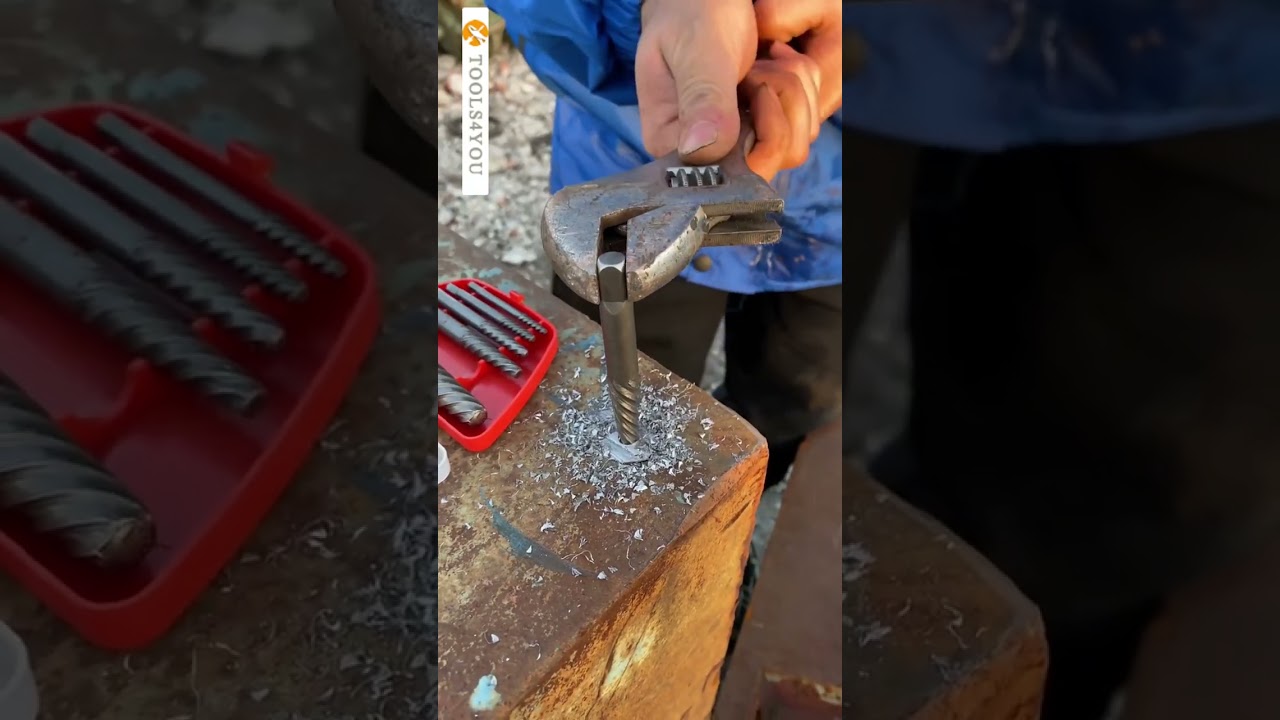 Broken bolt extractor