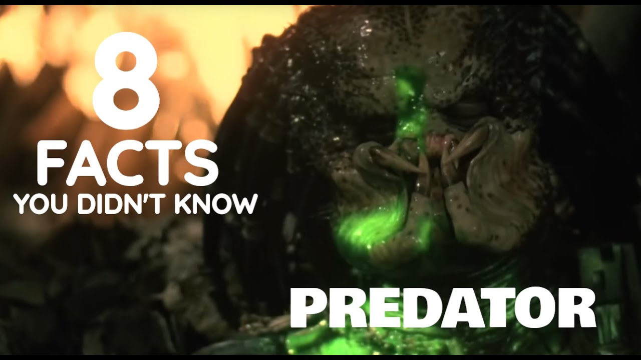 EIGHT Predator Facts You Didn't Know