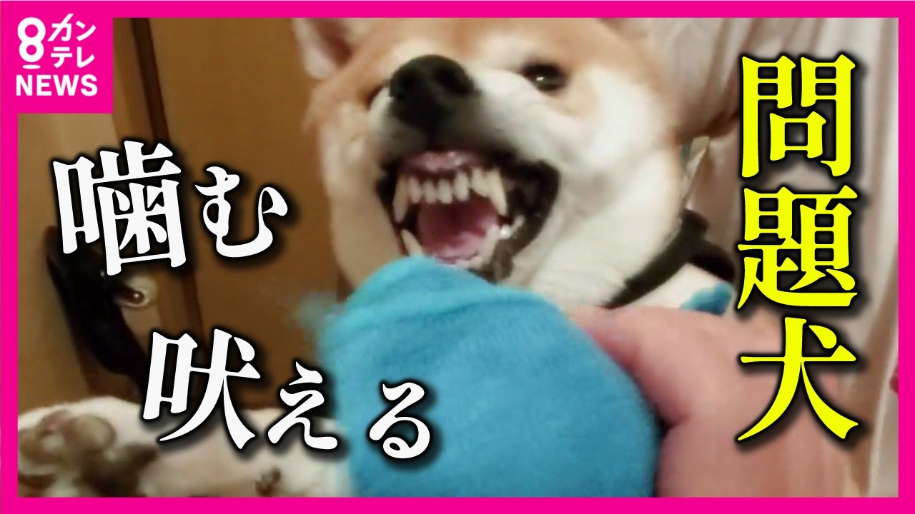 【