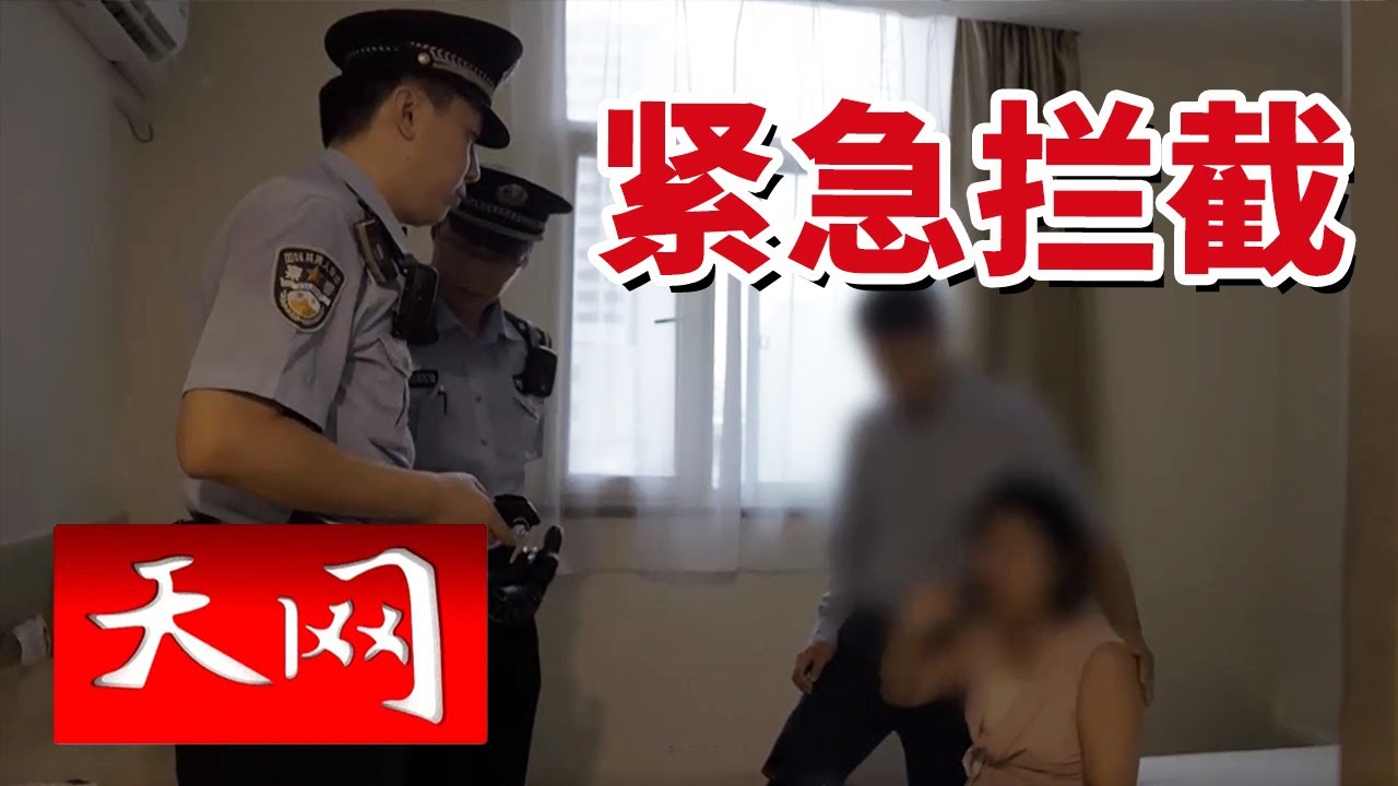 《天网》真实案例！上海女子遭遇电信诈骗 损失惨重！这些套路你一定要知道！20250204