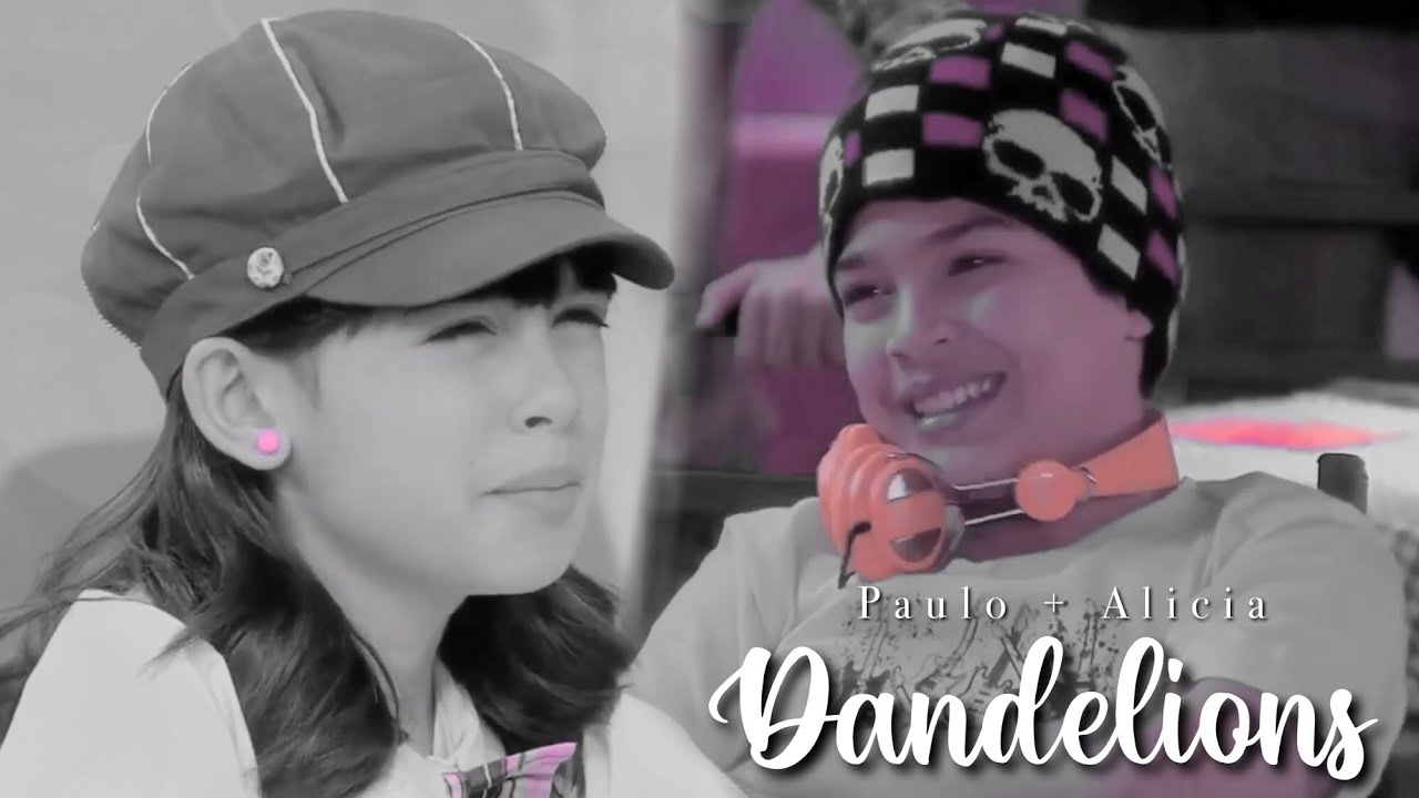 Paulicia || Dandelions