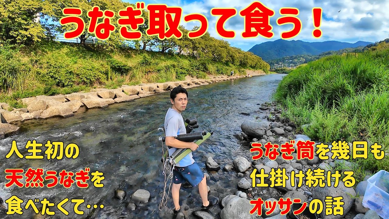 天然ウナギを食べたいオッサンがウナギ筒を仕掛け続けるお話【伊豆河津町】