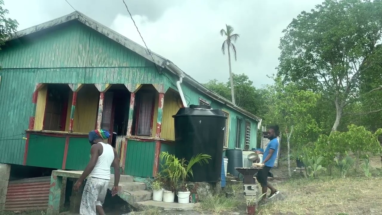 Driving Antigua and Barbuda | Fig Tree to Mount Joy 30 May 2022