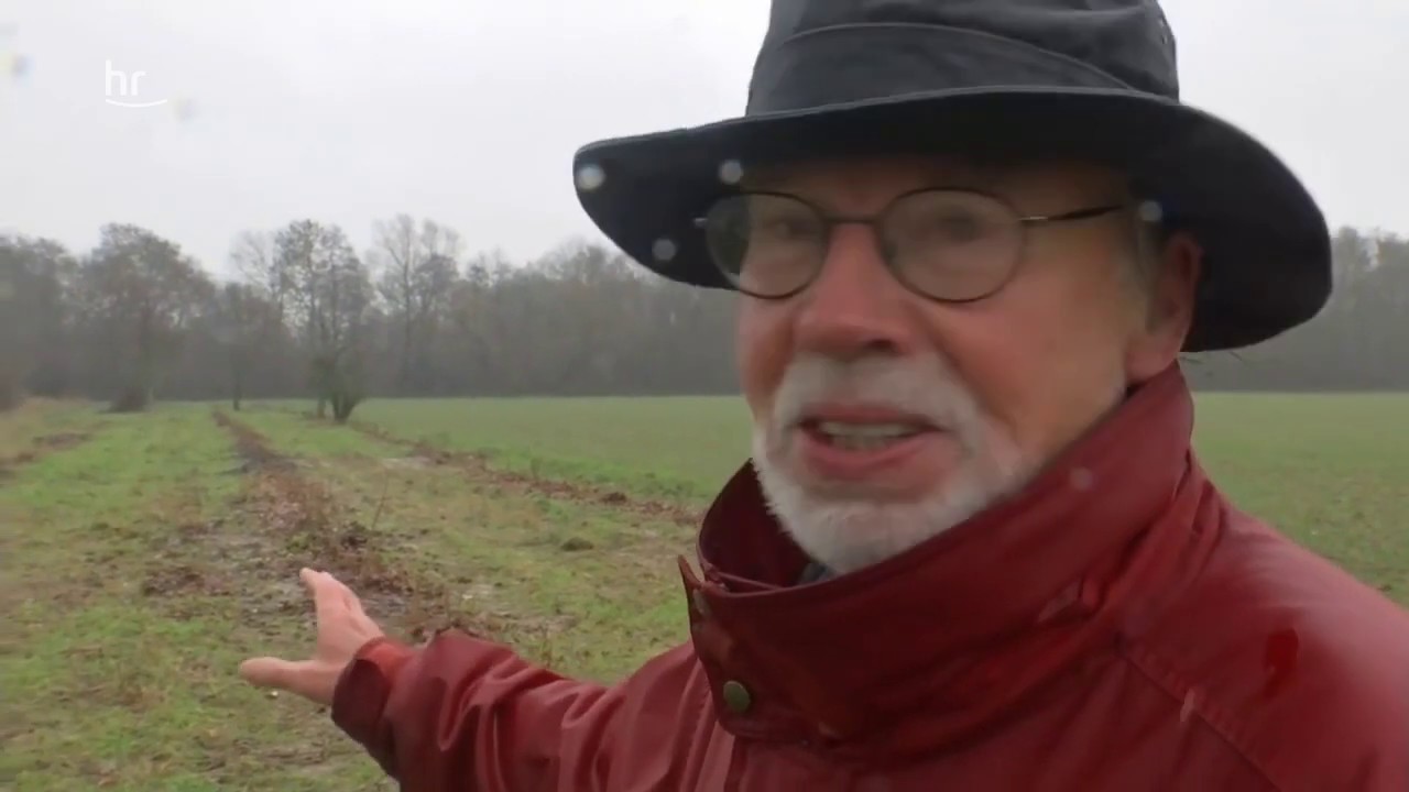 Projekt vom 21.12.2018 