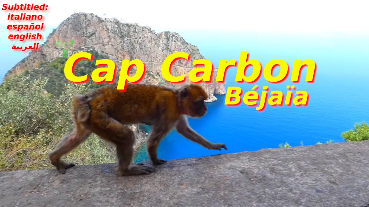 Le Cap Carbon - Le Plus Haut Phare Naturel au Monde - B&eacute;jaia