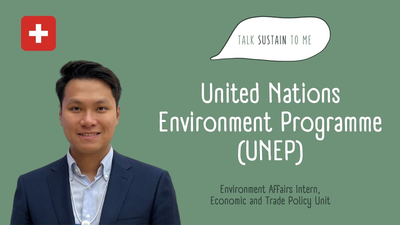 Working at UNEP in Switzerland | Sustainability Career Series