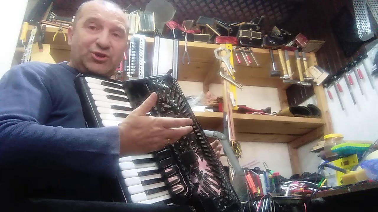 Servis harmonika Dane 064-420-5721