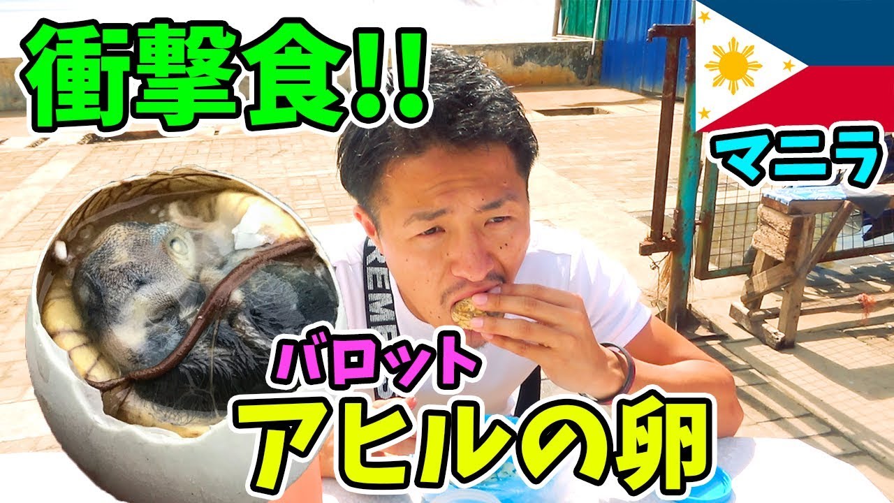 【超ゲテモノ】東南アジアで衝撃の料理
