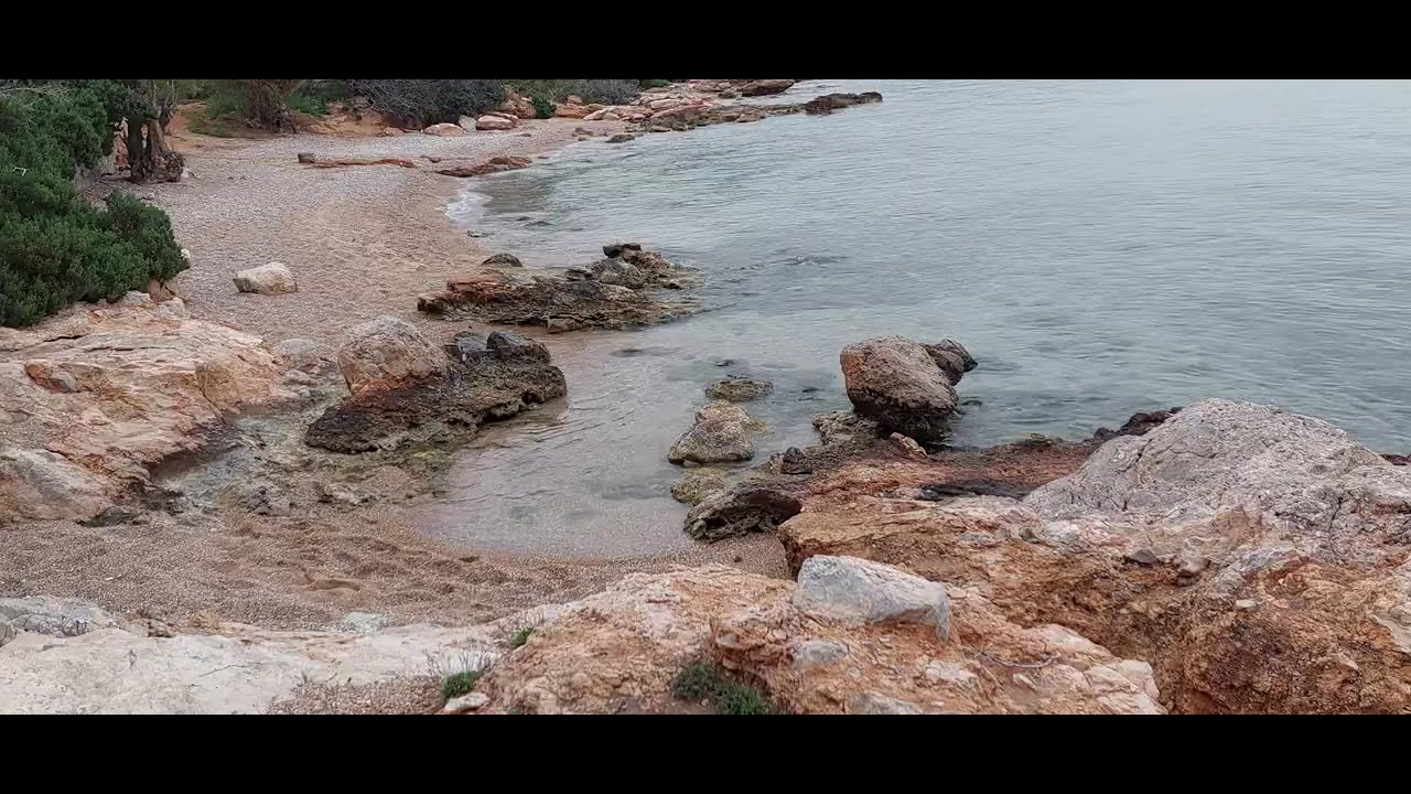 ✨ Enchanting Music with Gentle Waves 🌊 and Bird Songs 🕊️ for Ultimate Relaxation 😌🎶
