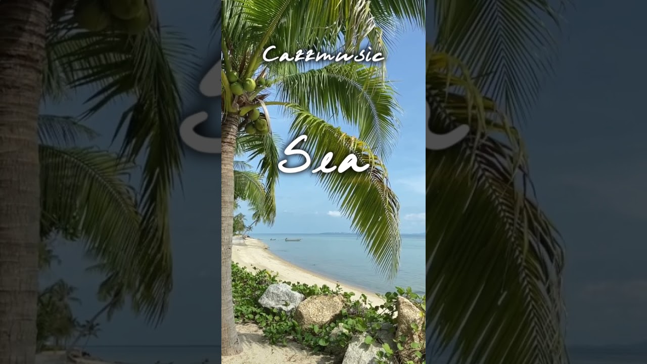 🏝️ Sea / Cafe Store BGM Jazz Music