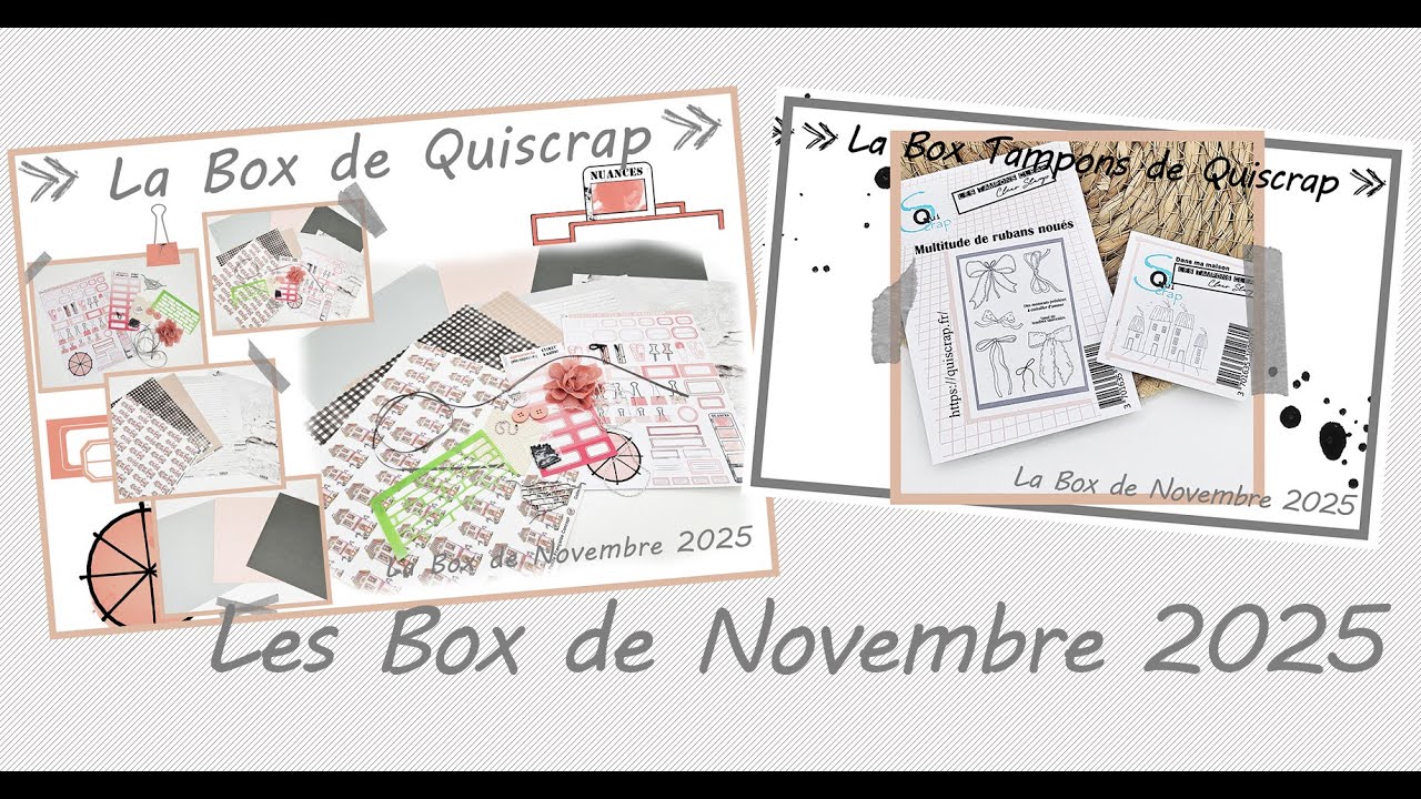 Les Box de Novembre 2025 en vidéo