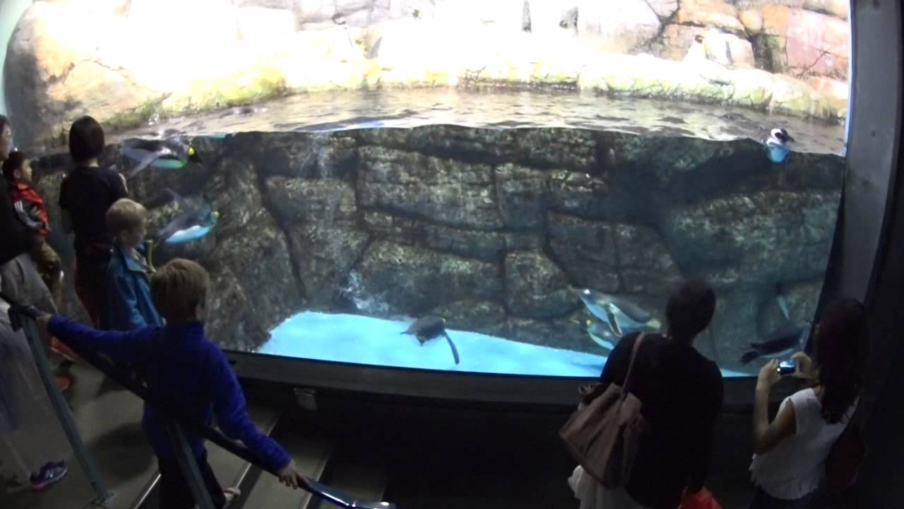 Yokohama Hakkeijima Sea Paradise