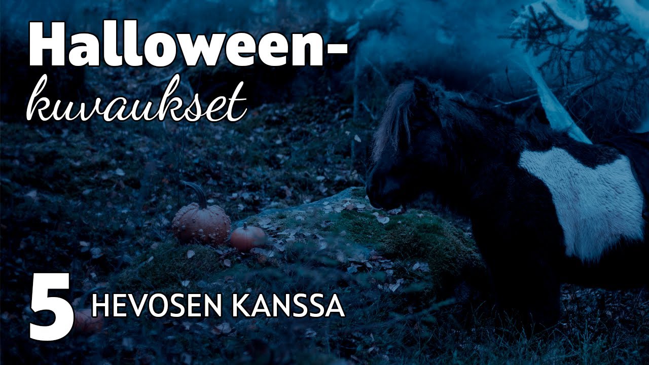 Kurpitsoja ja savua | Hevosten halloweenkuvaukset 👻