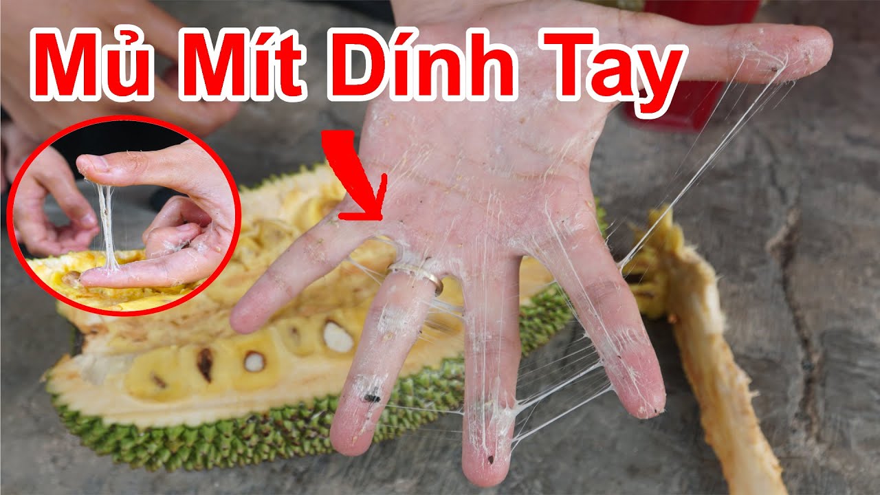 Cách Bổ Mít Không Bao Giờ Bị Dính Mủ Mít Vào Tay / Mẹo Tẩy Mủ Mít Dính Vào Tay , Tẩy Mủ Mít Dính Dao