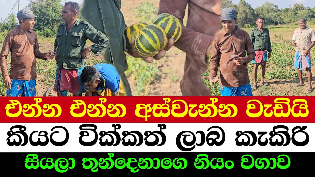 Farming You Can Start With Any Budget