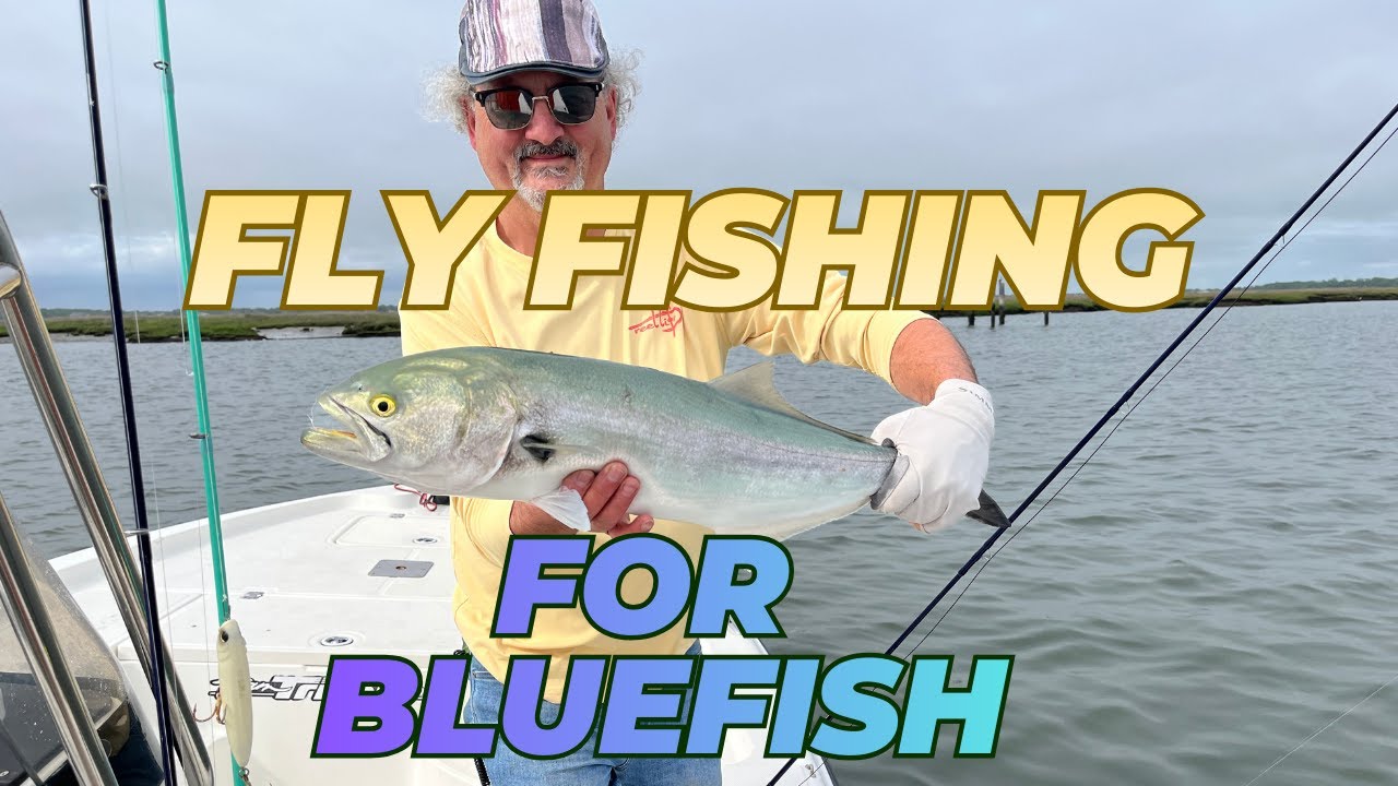 FLY FISHING FOR BLUEFISH DURING THE SPRING RUN ON LONG ISLAND!