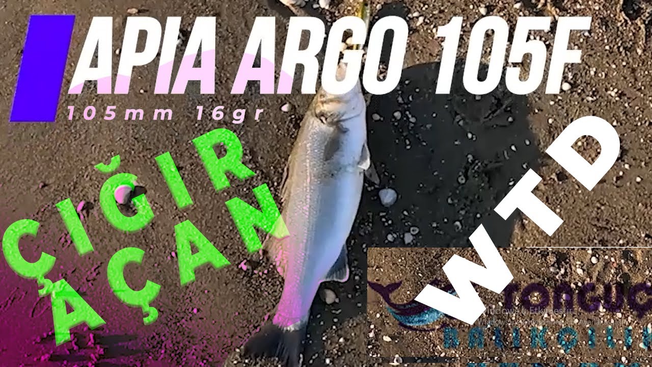 APIA ARGO105F LEVREK AVI SÜ ÜSTÜ SAHTESİ EN İYİ LEVREK SAHTELERİ TAVSİYE