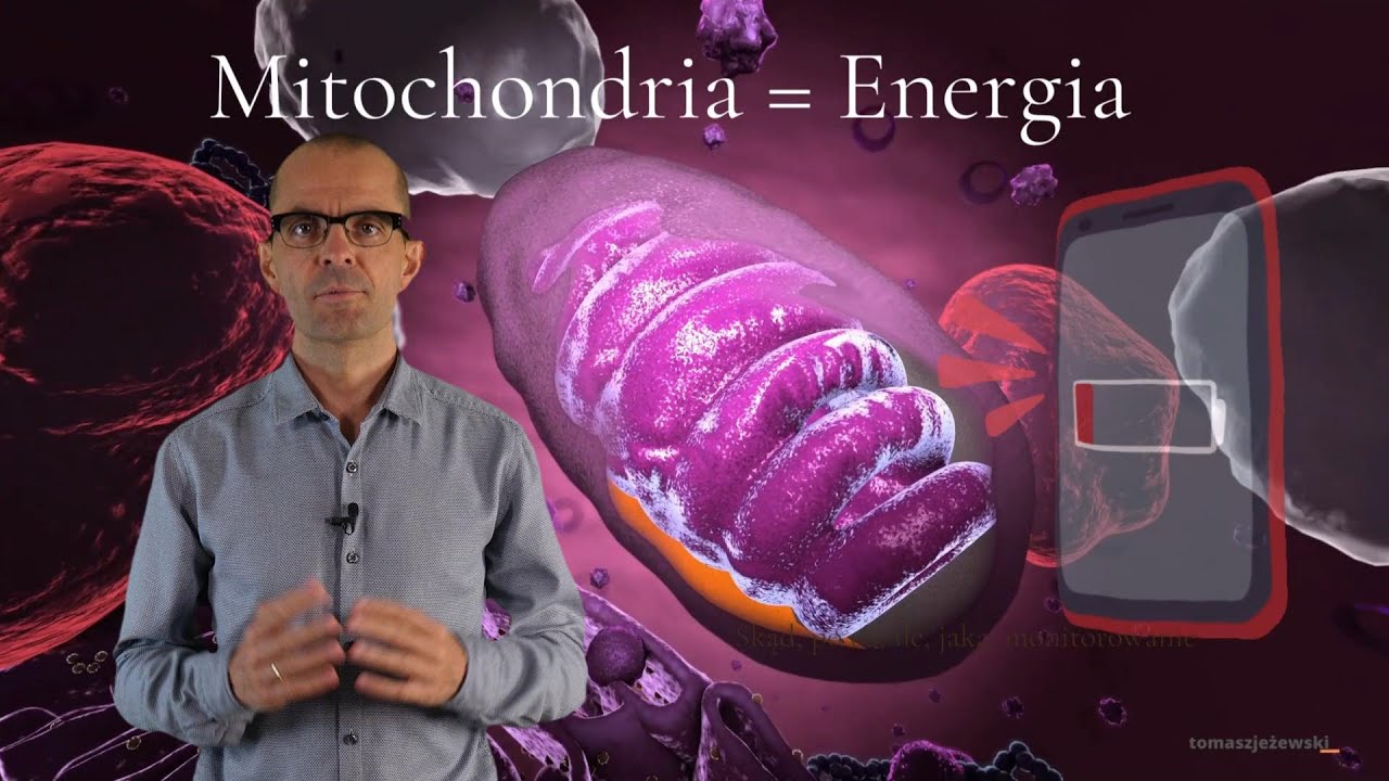 #101 Jak pobudzić swoje elektrownie - czyli co działa na mitochondria...
