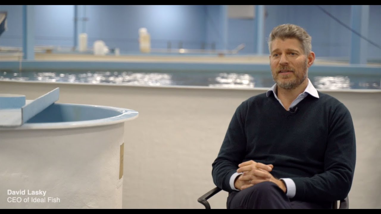 David Lasky on RAS Technology