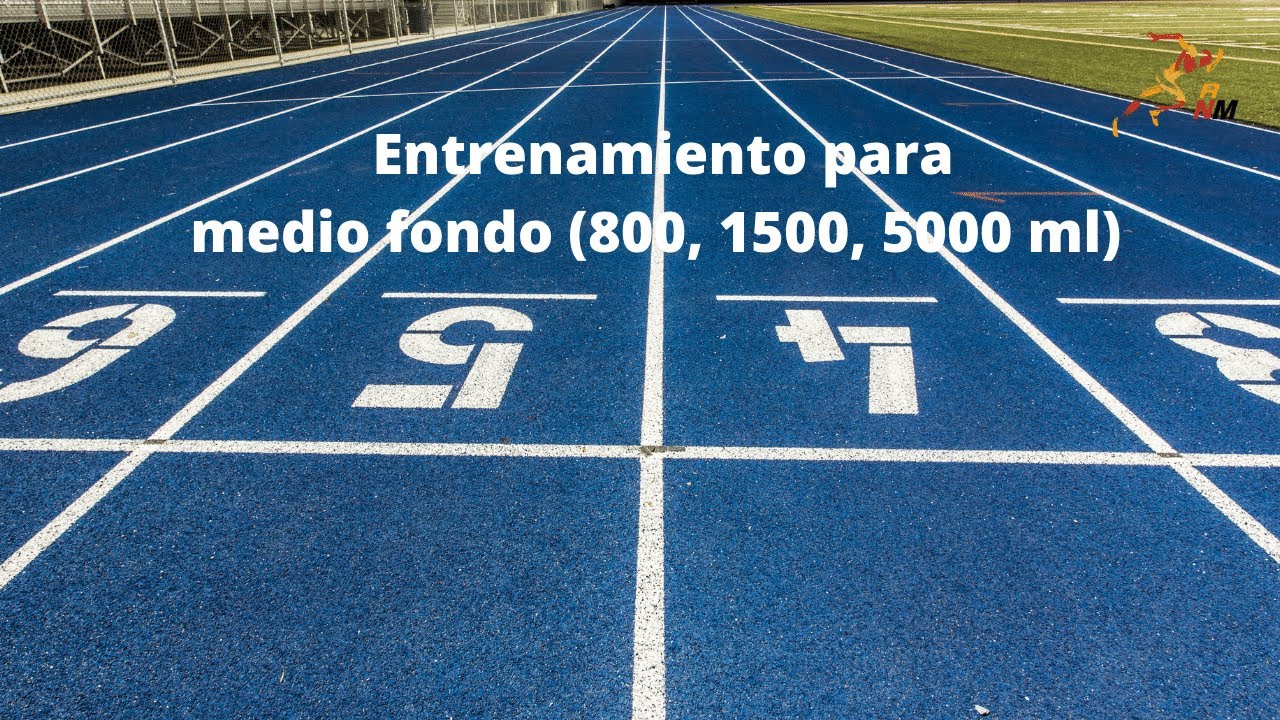 Entrenamiento para mediofondo 800, 1500 y 5000 ml