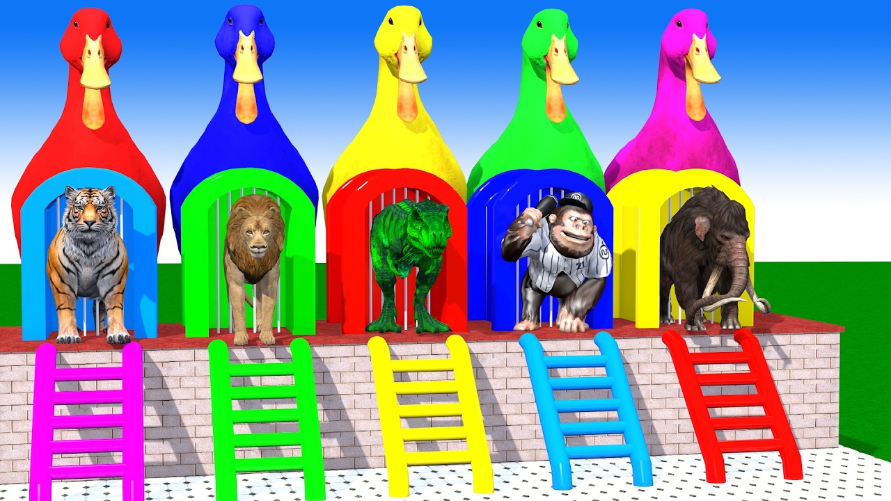 Long Slide Game with Cow Elephant Gorilla Hippopotamus Tiger 3d Animal Game Funny 3d Animals