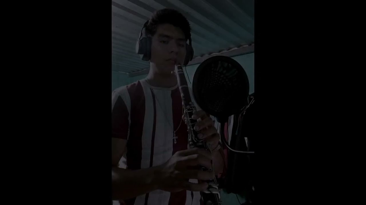 Polka de clarinete ANA POLKA (cover)