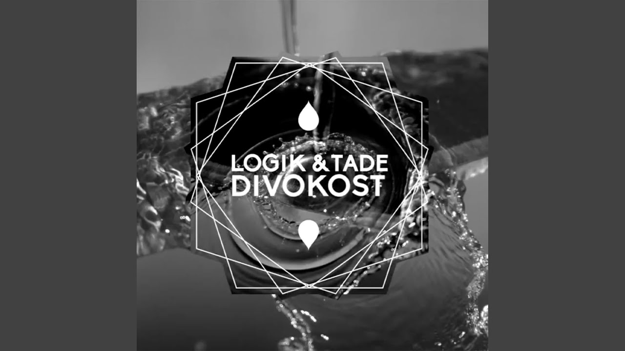 Divokost (feat. Logik)