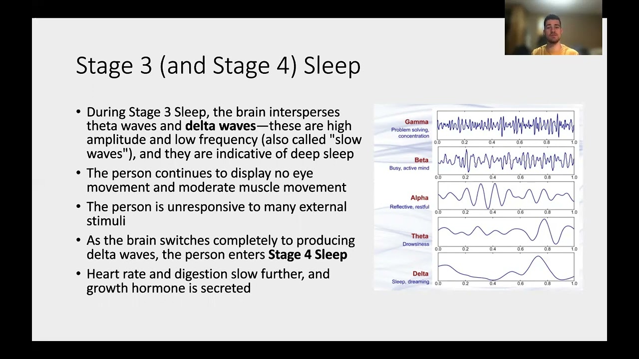 Free MCAT 15 Week Supplement Biology | Sleep and Consciousness |