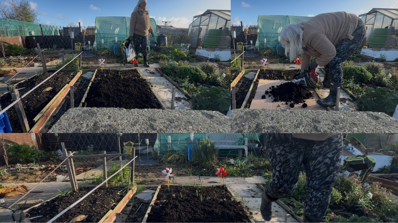 No Plan just get cracking at Allotment plot 1 #gardening #greenhouse #allotment #plants