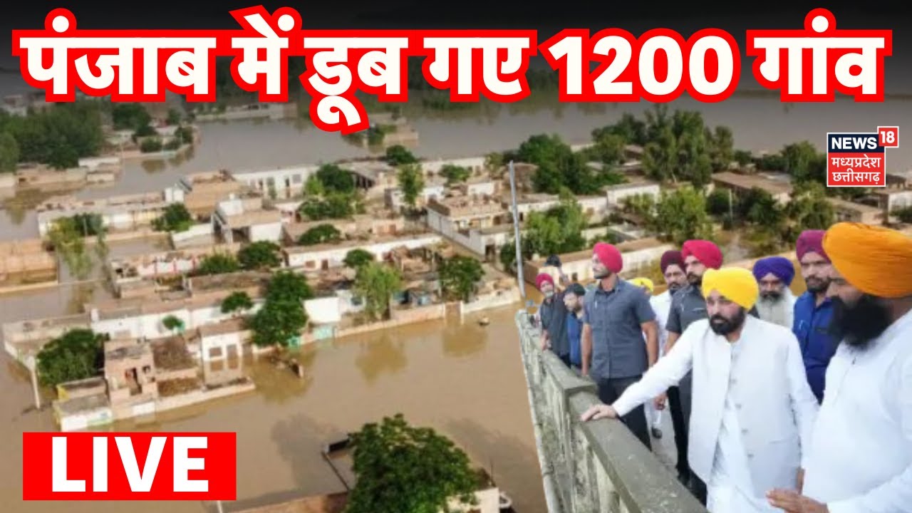 Punjab Flood LIVE Update: पंजाब में डूब गए 1200 गांव! | Heavy Rain | Breaking | Gurdaspur | Amritsar