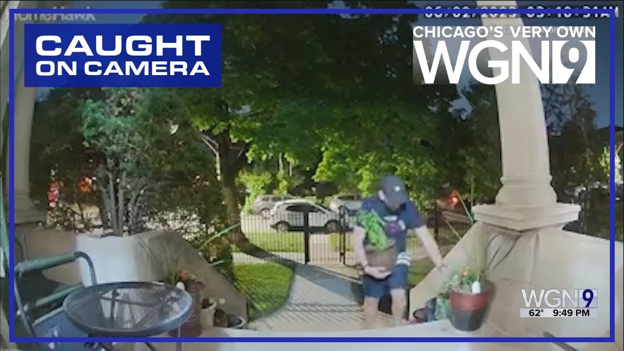 Thief caught on camera stealing plants from porch of Ravenswood home