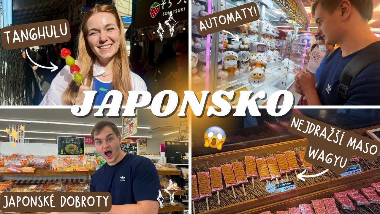 PRVNÍ DEN V JAPONSKU - NEJLEPŠÍ SUSHI V ŽIVOTĚ, ANIME CITY, JAPONSKÁ VEČERKA (vlog kubaadanca)