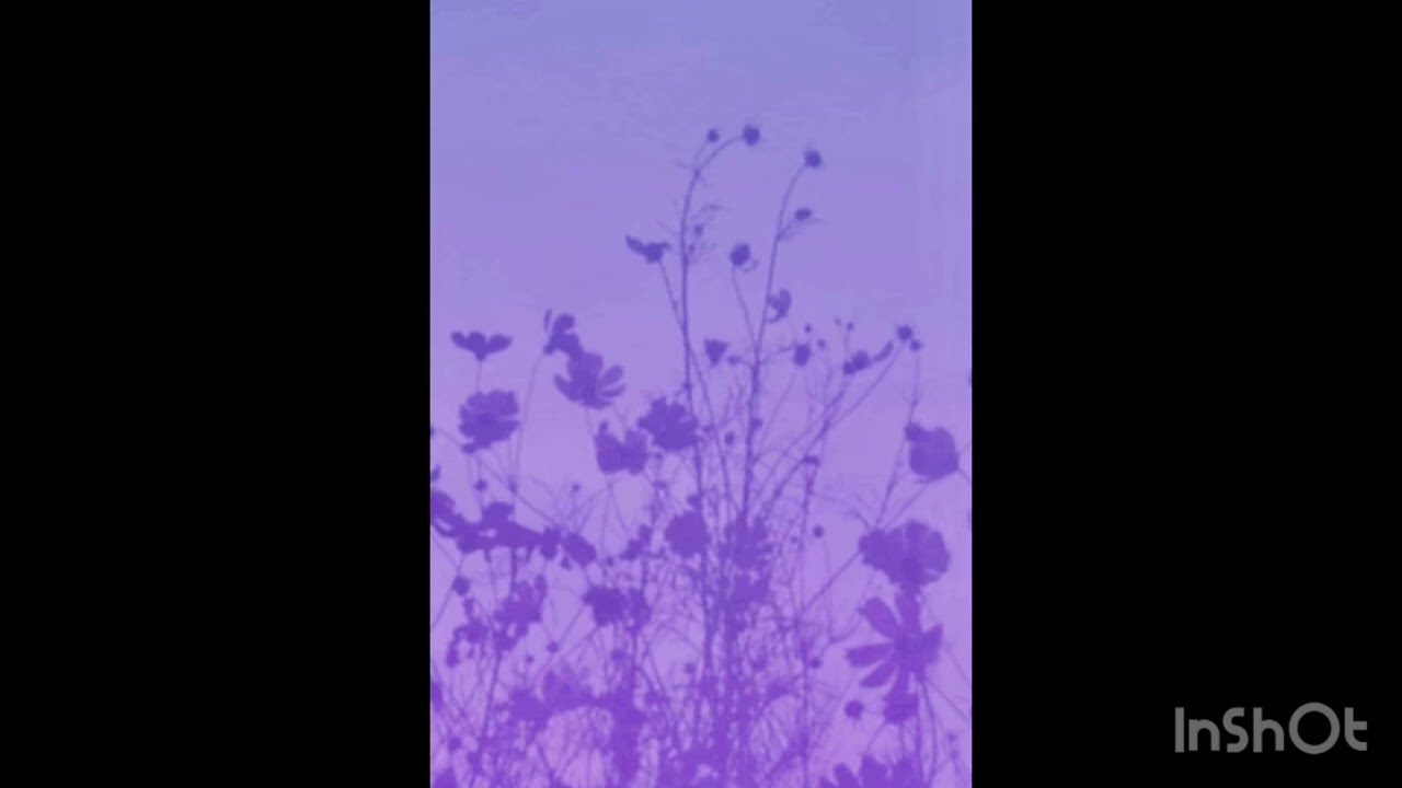 FREEDOM IN SURRENDER (Sneaky AI Grounded element)