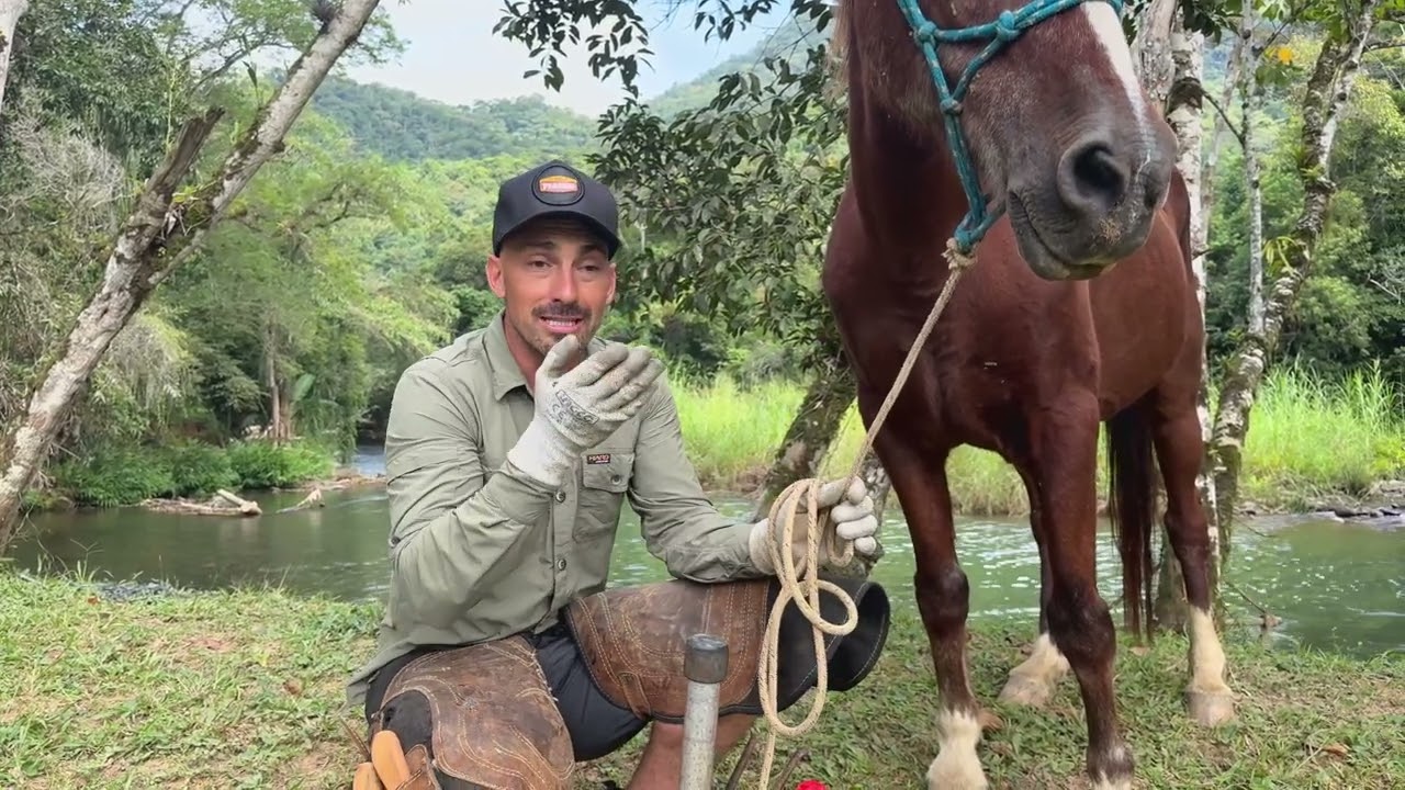 Você Está Fazendo Isso Errado - Erros Comuns no Casqueamento