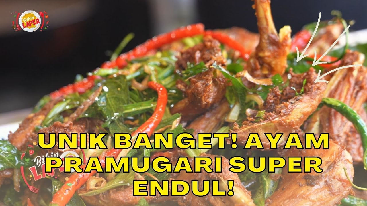 Unik Banget! Ayam Pramugari Super Endul! | BIKIN LAPER (20/9/23) P1