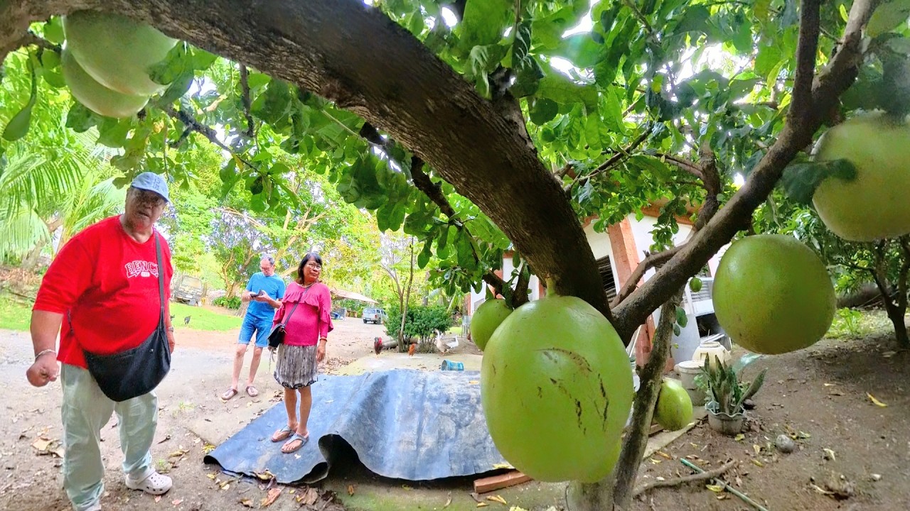 Iloilo City / Wolfgang & Cristina Tour in the Philippines /January 13, 2026 / V18