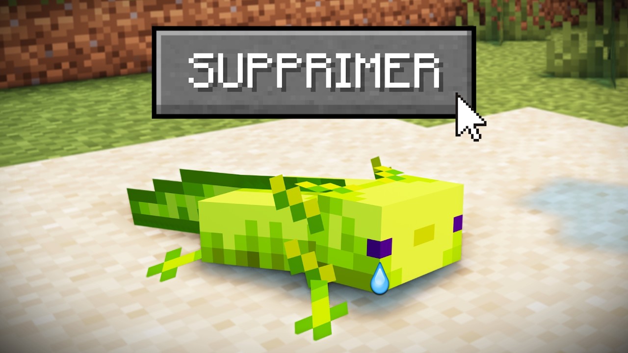 Tout ce que Minecraft a supprimé..