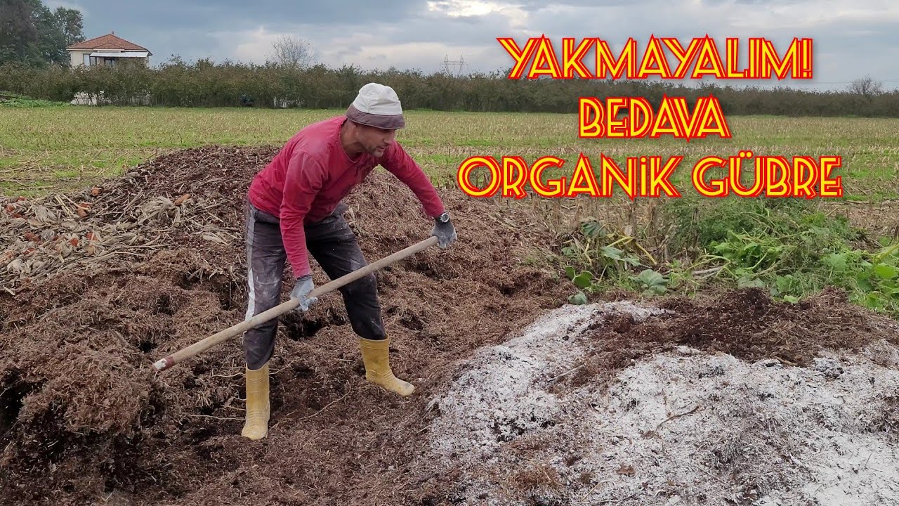 FINDIK ZURUFUNDAN ORGANİK GÜBRE NASIL YAPILIR !!! - KOMPOST YAPIMI