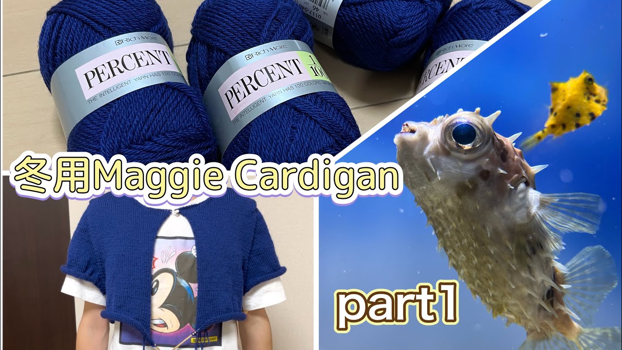 【編みlog part1】夫にMaggie cardiganを編み始めた