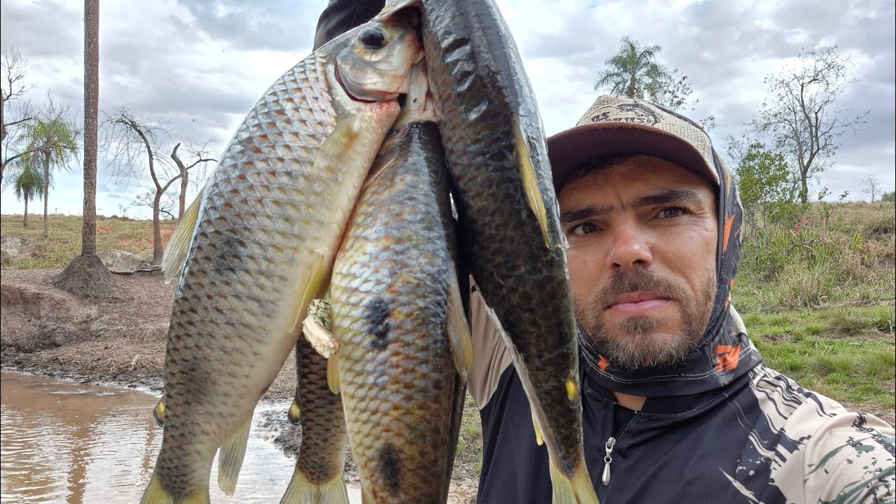 ESQUENTOU, AGORA OS BRUTOS ENCOSRARAM, SÓ FIAGADA BRUTA!!!! 