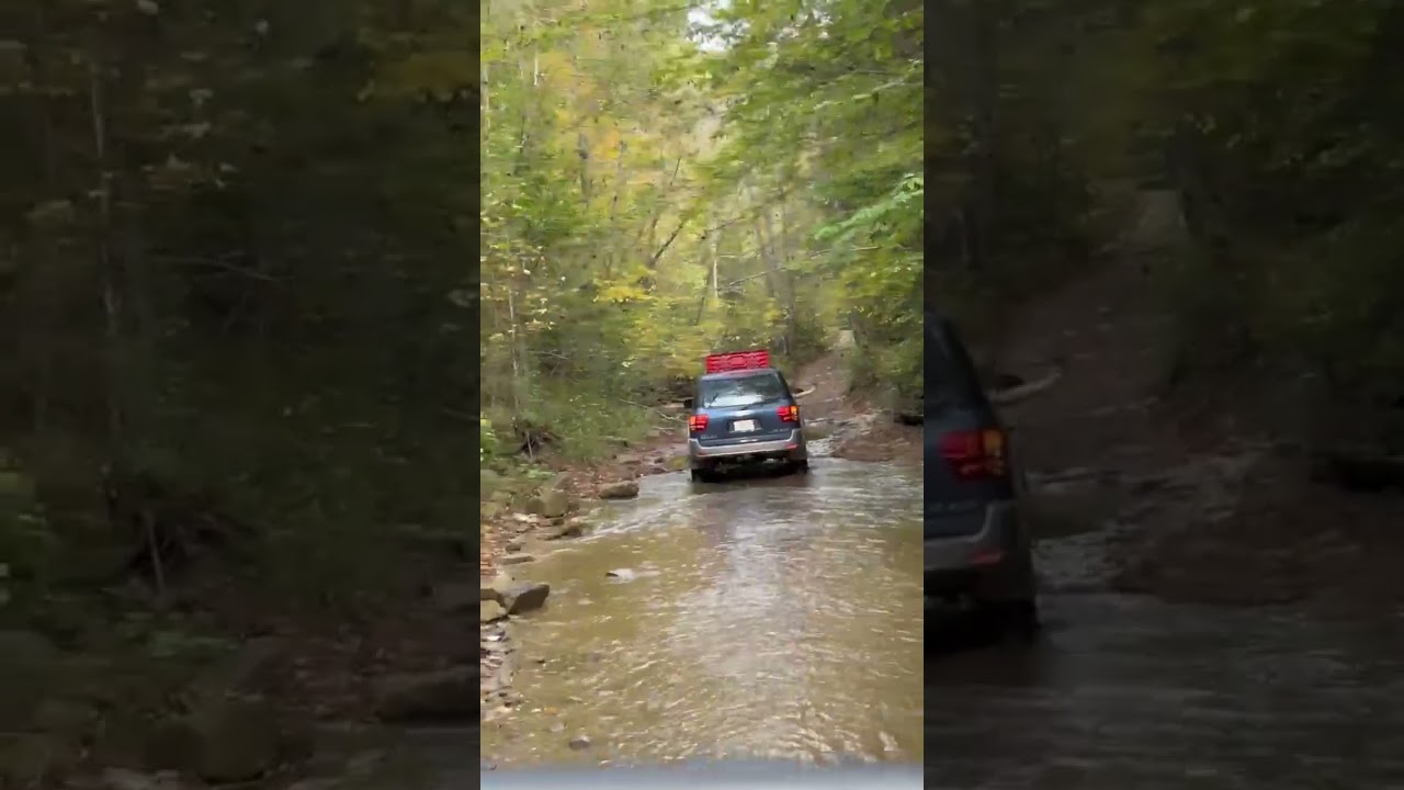 Bald Rock Road - Daniel Boone Backcountry Byway - 17OCT25