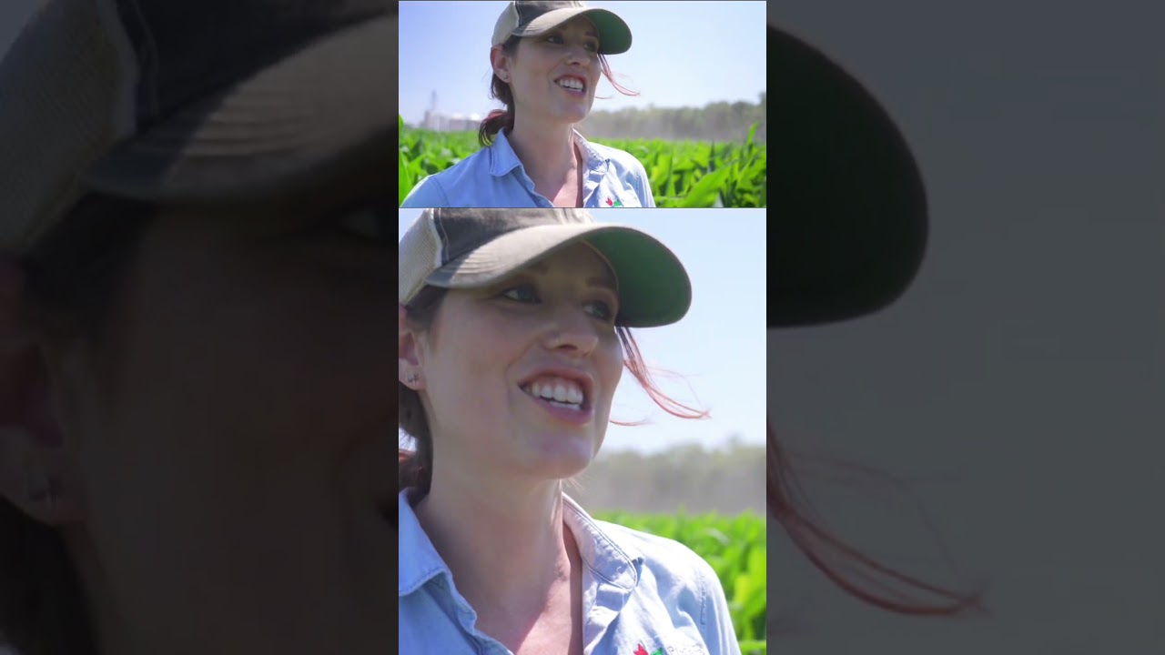 🌽 Как микробы помогают растению! #сельскоехозяйство @PhycoTerra