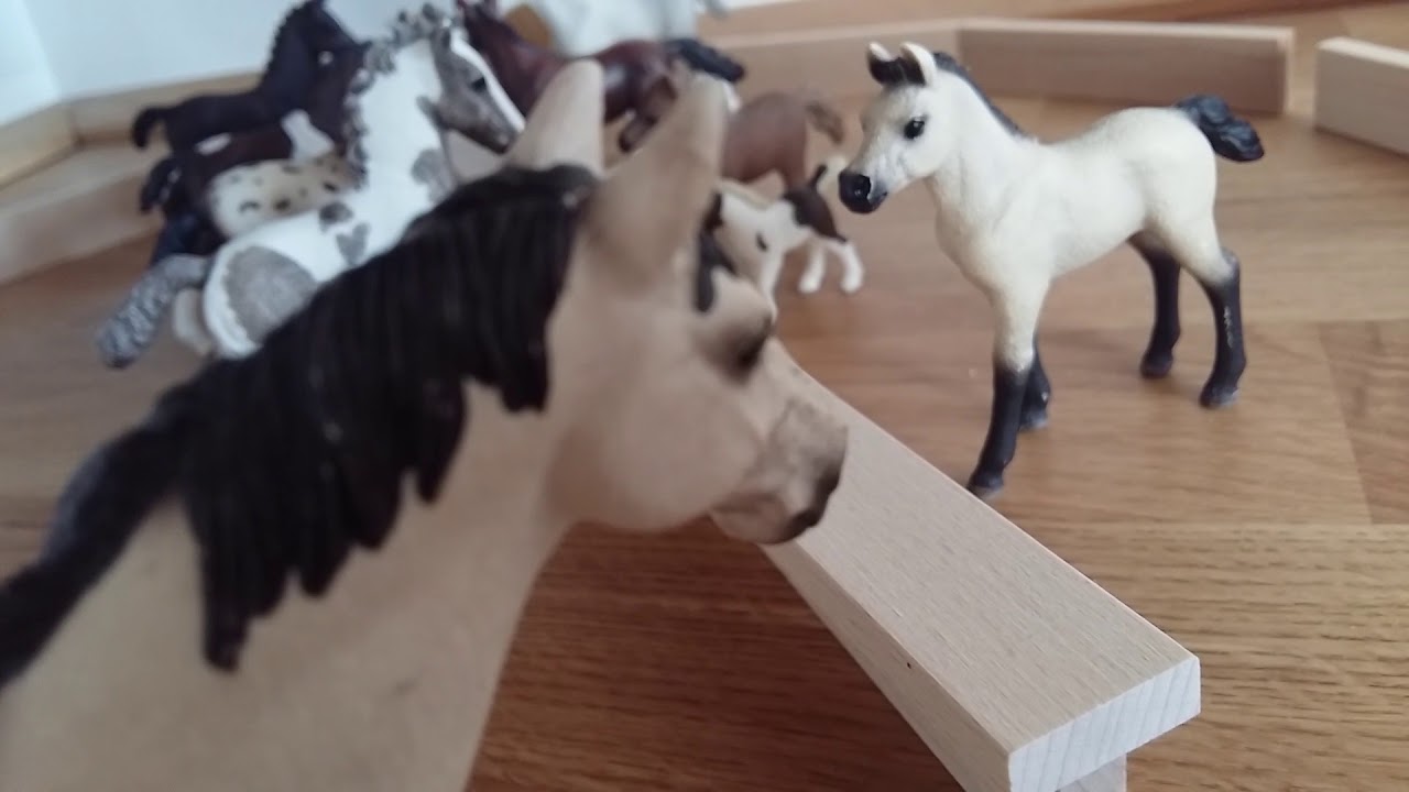 Fohlen Schule Folge 4