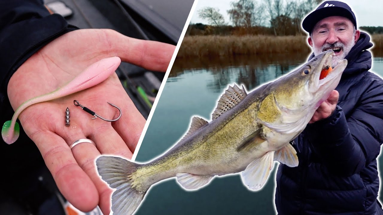 Nailsinker-Rig: SO ballert's Zander und Hechte im WINTER vorm Schilf!