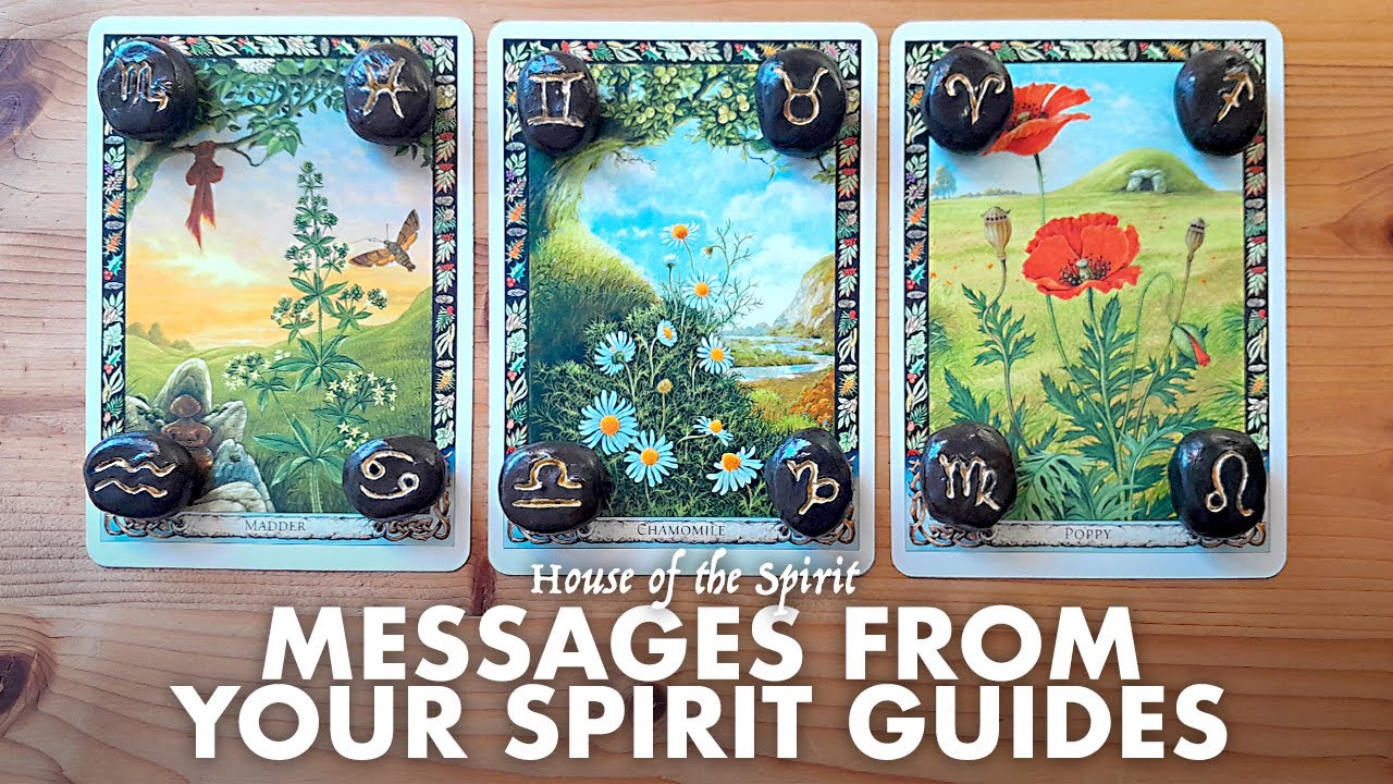 Messages From Your Spirit Guides - Pick-a-Card #tarot #tarotreading #pickacard